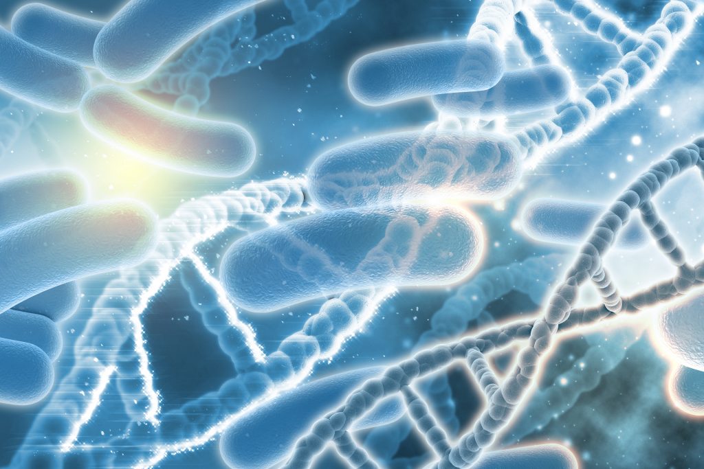 Probiotici e Prebiotici quanta confusione