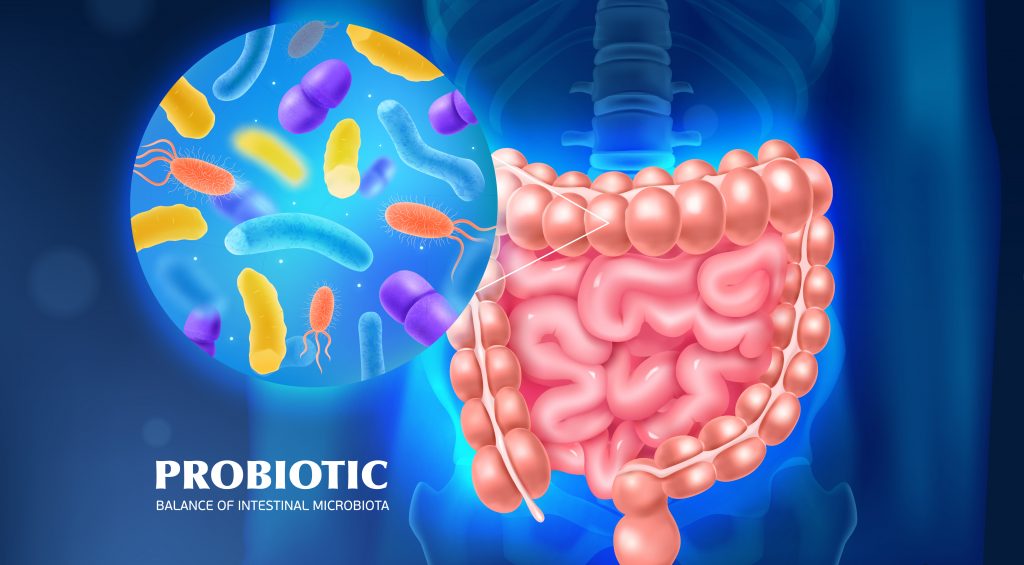 Probiotici e Prebiotici quanta confusione